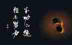 我收获了成功作文5篇