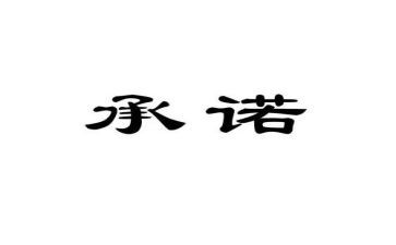 2024年工作承诺书精选6篇