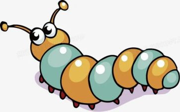 抓昆虫心得体会模板8篇