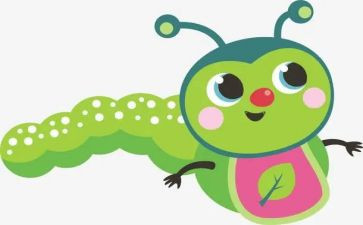 美术课瓢虫教案6篇