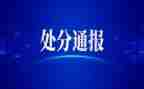 撤销处分的申请书6篇