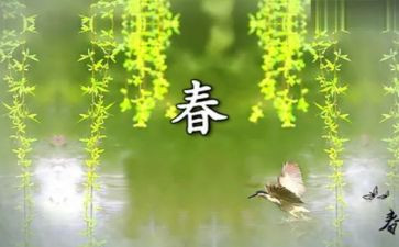 致青春的演讲稿范文800字6篇