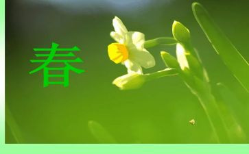 青春拼搏类作文7篇