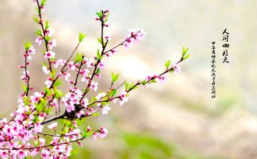 春季小班班级工作计划7篇