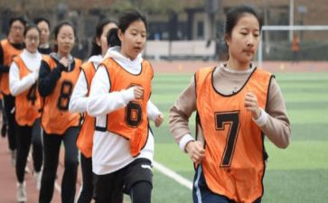 2023年初中生物教师个人总结精选5篇