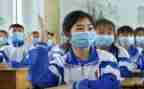 2023年初中生物教师个人总结7篇