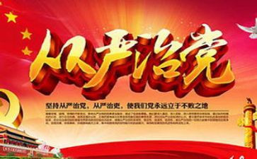 从严治党工作半年工作总结7篇