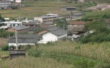 村委及2024年工作计划优秀5篇