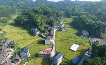农村小学安全教育讲话稿6篇