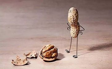 成长挫折类的作文模板7篇