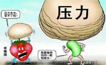 因对挫折心得体会7篇