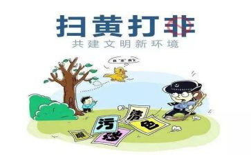 扫黄打非的工作总结5篇