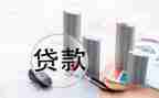 2024年银行贷款工作总结6篇