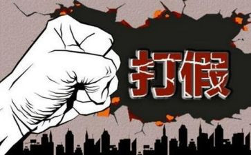 县打假办工作总结5篇