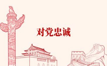 党年终工作总结优秀6篇