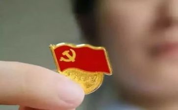 年度党员个人总结8篇