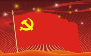 2022年党员年度个人总结6篇
