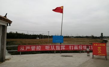 大学生党员总结个人总结8篇