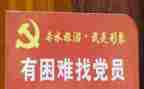 2024党员年度总结优秀5篇