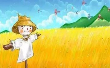 读稻草人后感作文推荐6篇