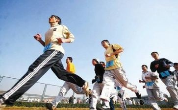 大学德育实践心得体会6篇