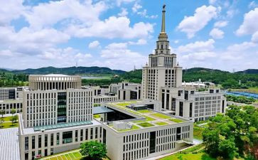 大学教师的工作总结模板5篇