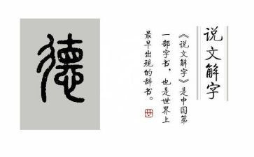 年度考核师德师风总结教师个人总结8篇