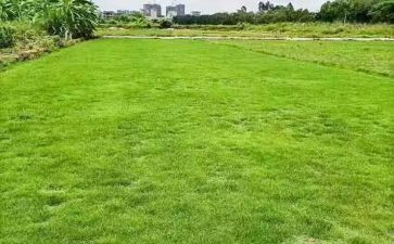 房地产置业顾问月度工作计划8篇