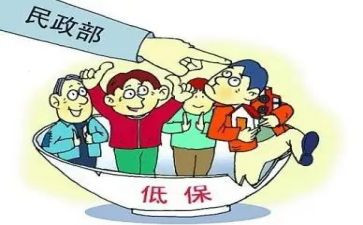 低保个人年度总结6篇