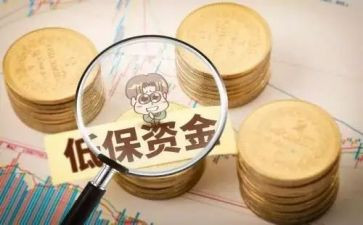 个人低保工作年度总结6篇