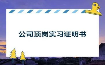 顶岗实习实习总结通用7篇