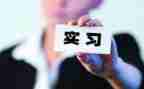 选顶岗实习个人总结最新7篇