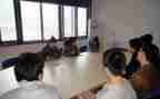 幼师顶岗实习月工作总结5篇