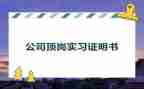 顶岗实习实习总结通用7篇