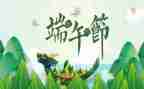 幼儿端午节的活动方案优秀5篇