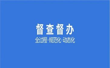 自查督查工作报告6篇