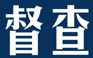 督察月工作计划6篇