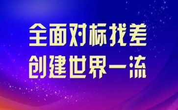对标述职个人总结优质8篇