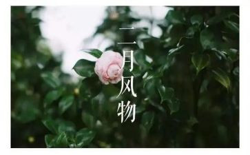 个人二月总结6篇