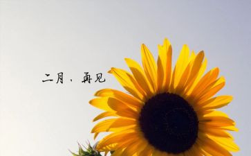 2024年十二月工作总结5篇