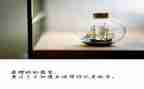 改革开放发展心得体会8篇