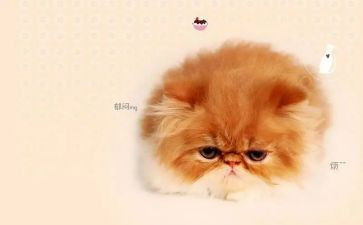 烦恼的初中作文最新8篇