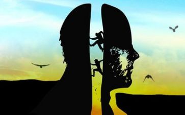 教案教后反思5篇