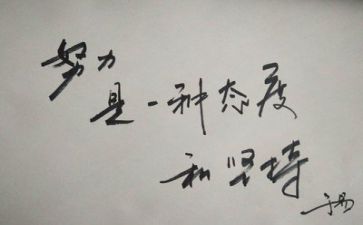 个人总结及反思范文7篇
