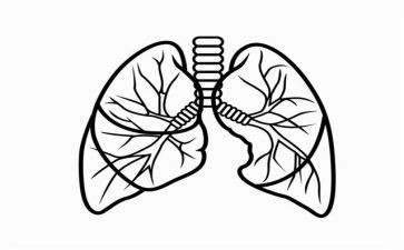 肺炎疫情期间个人总结5篇
