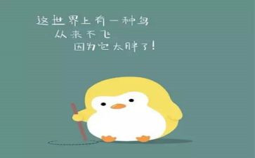 减肥操心得体会7篇