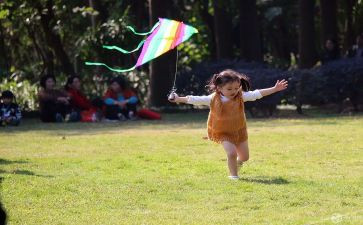 放风筝活动方案7篇