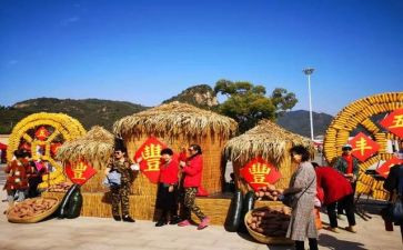 农民丰收节工作总结6篇