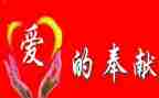 为企业奉献的演讲稿7篇