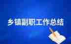 街办副职领导述职报告6篇